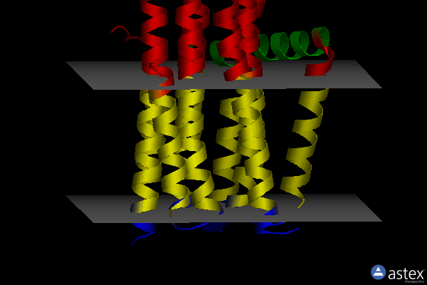 Membrane view of 4bpd