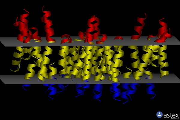 Membrane view of 4bpq