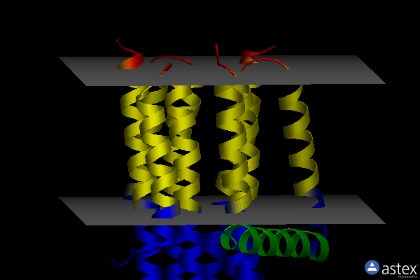 Membrane view of 4brb