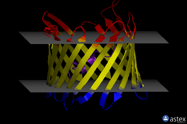 Membrane view of 4bum