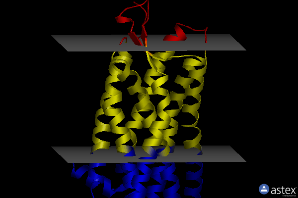 Membrane view of 4buo