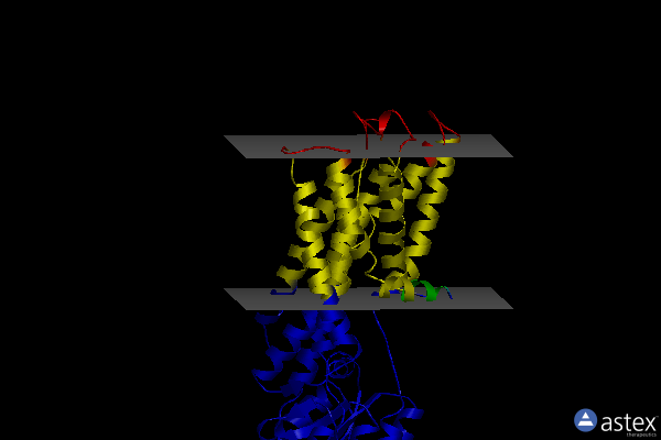 Membrane view of 4byg