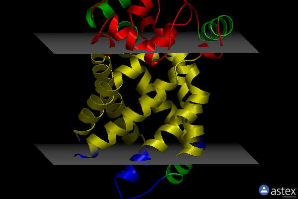 Membrane view of 4c9j