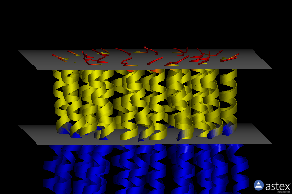 Membrane view of 4cbk