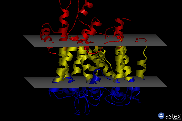 Membrane view of 4cg5