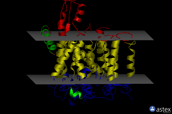 Membrane view of 4cg6