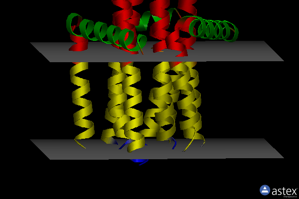 Membrane view of 4ck0