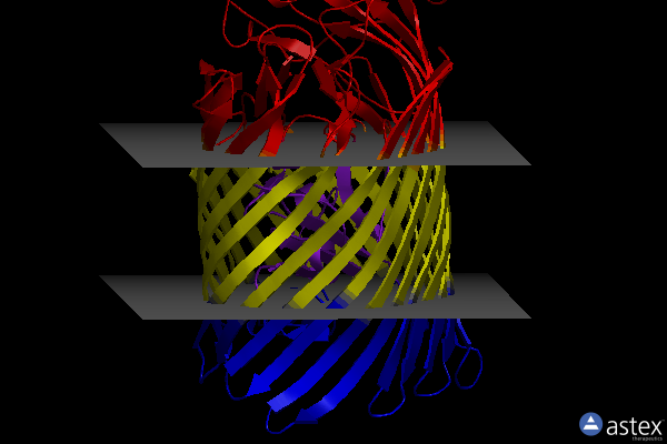 Membrane view of 4cu4