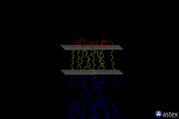 Membrane view of 4cy4