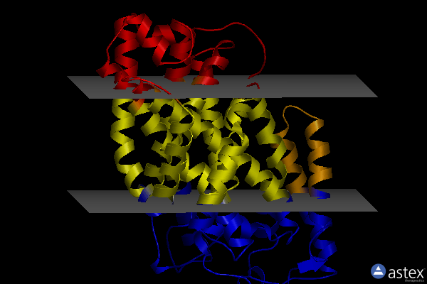 Membrane view of 4d1c