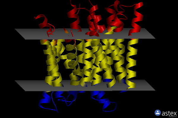 Membrane view of 4d2c