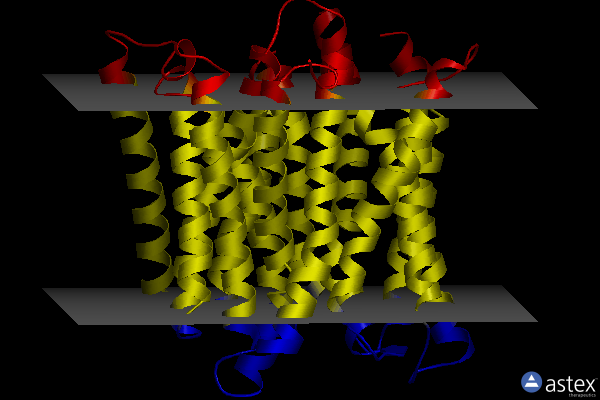 Membrane view of 4d2d