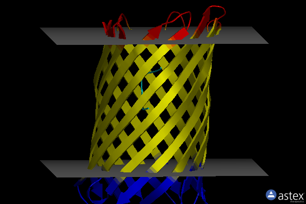 Membrane view of 4d51