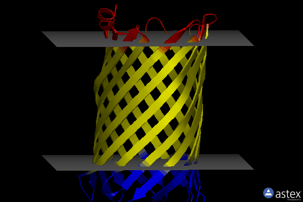 Membrane view of 4d5b