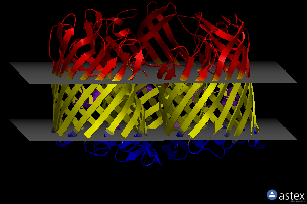 Membrane view of 4d5u
