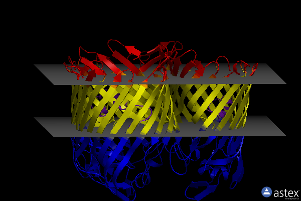 Membrane view of 4d64
