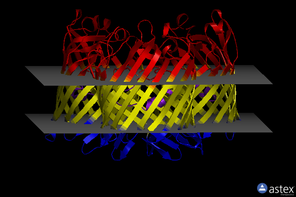 Membrane view of 4d65