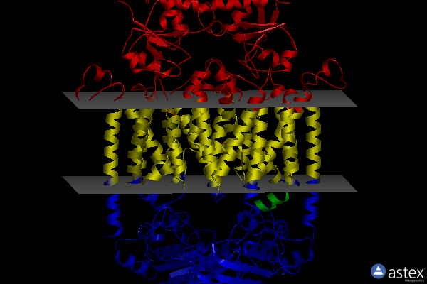 Membrane view of 4dbl