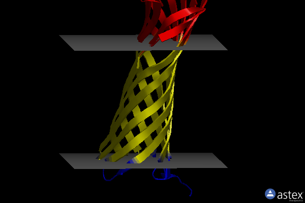 Membrane view of 4dcb