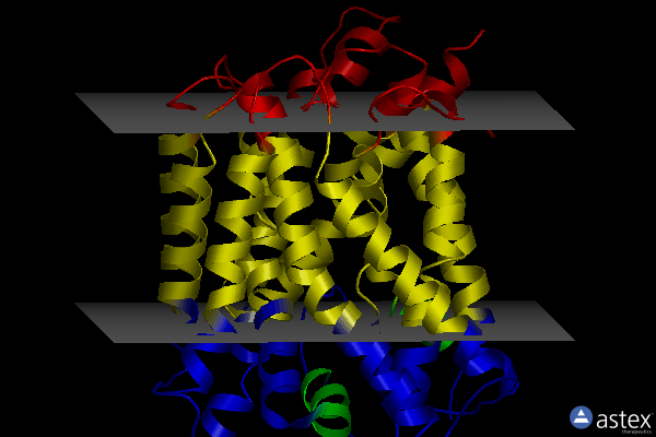Membrane view of 4djk
