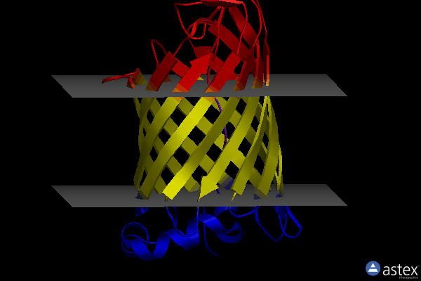 Membrane view of 4e1t
