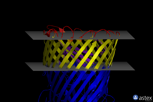 Membrane view of 4epa
