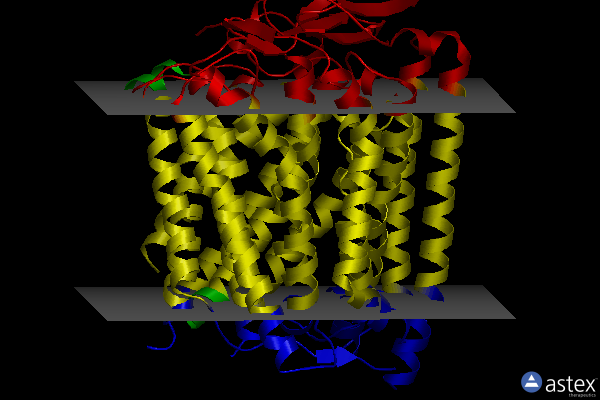 Membrane view of 4faa