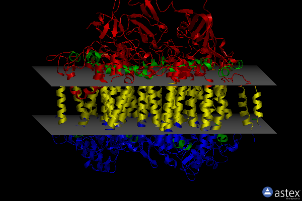 Membrane view of 4fe1
