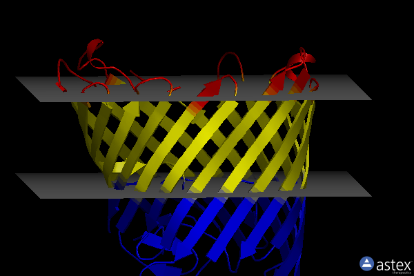 Membrane view of 4foz