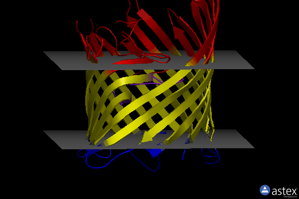 Membrane view of 4frt