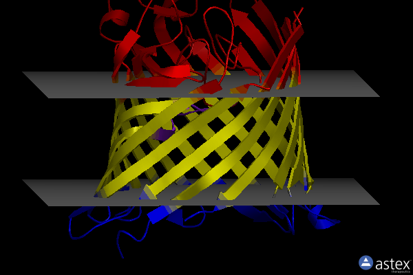 Membrane view of 4frx
