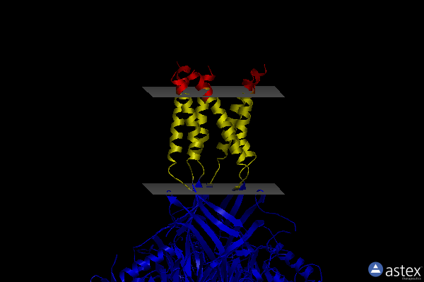 Membrane view of 4fz1