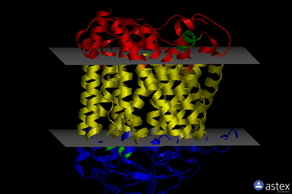 Membrane view of 4g70