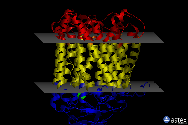 Membrane view of 4g7q
