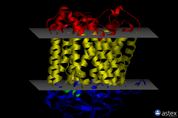 Membrane view of 4g7r