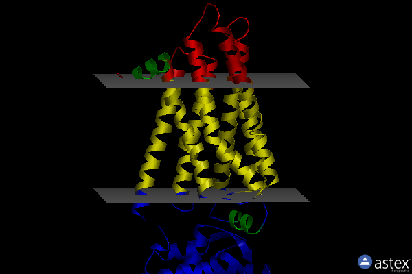 Membrane view of 4gbr