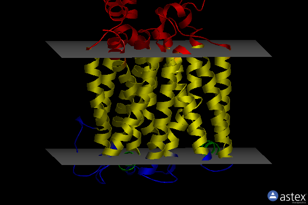 Membrane view of 4gbz