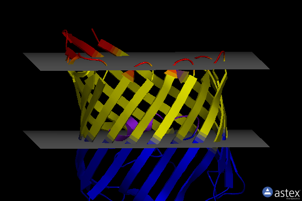Membrane view of 4gcs