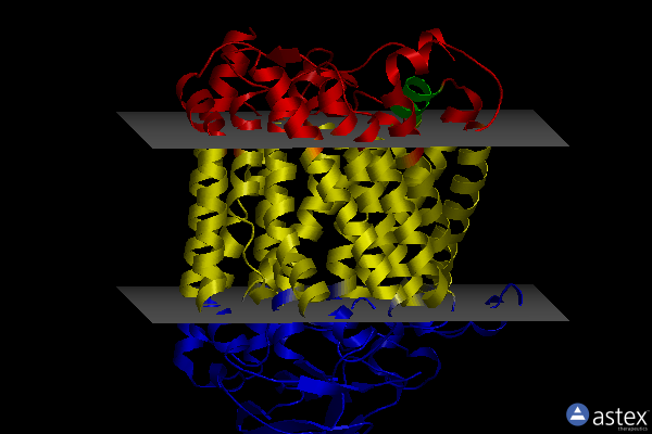 Membrane view of 4gp4