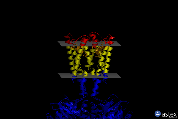 Membrane view of 4gx0