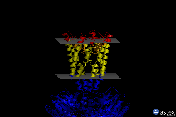 Membrane view of 4gx5