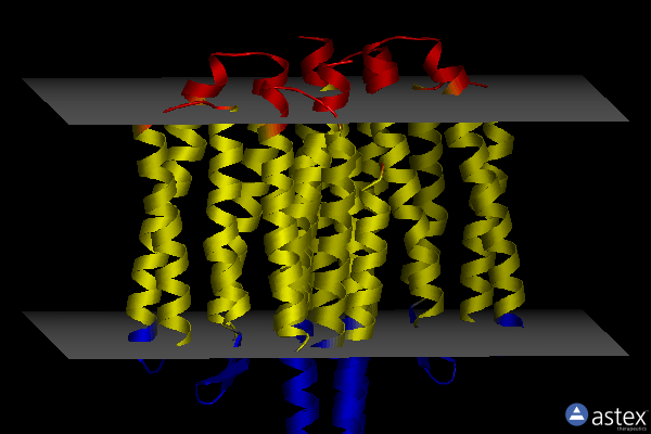 Membrane view of 4gyc
