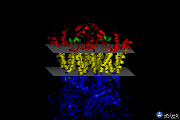 Membrane view of 4h0l