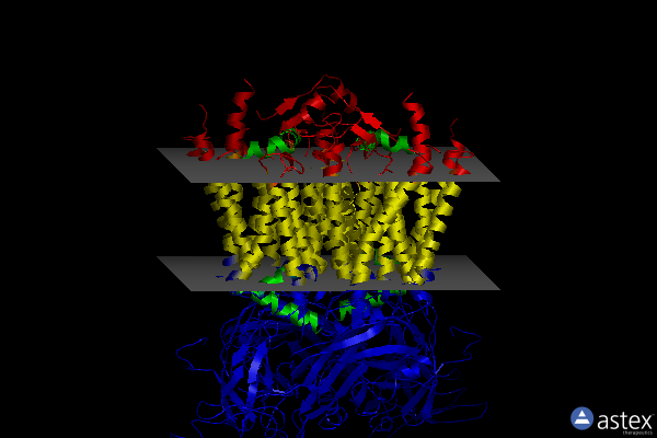 Membrane view of 4h13