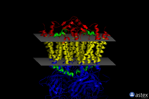 Membrane view of 4h44