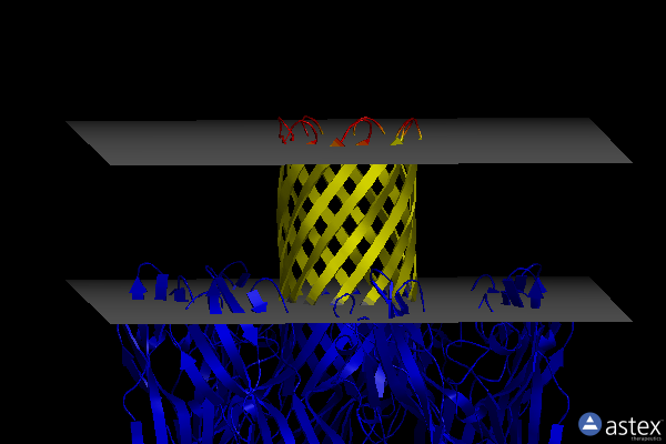 Membrane view of 4h56