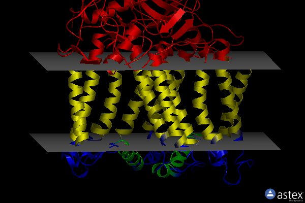 Membrane view of 4h99