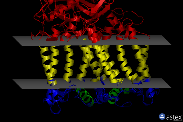 Membrane view of 4h9l