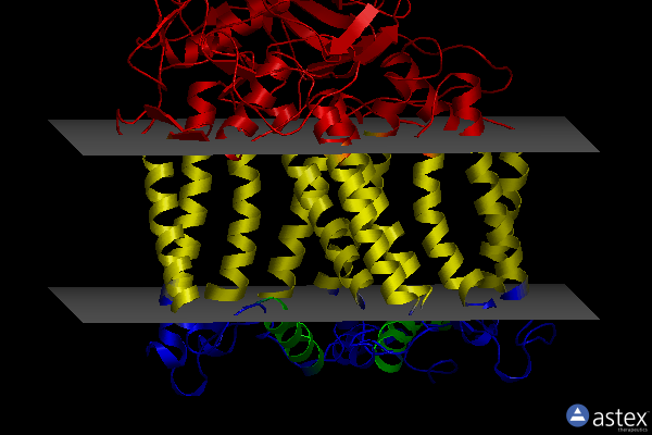 Membrane view of 4hbh