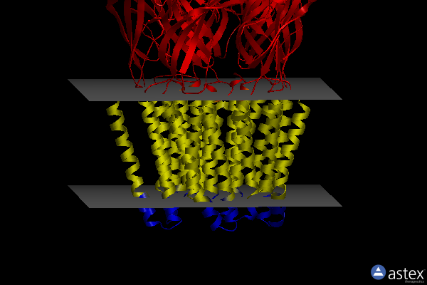 Membrane view of 4hfd
